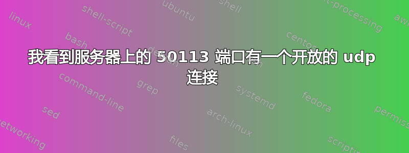 我看到服务器上的 50113 端口有一个开放的 udp 连接