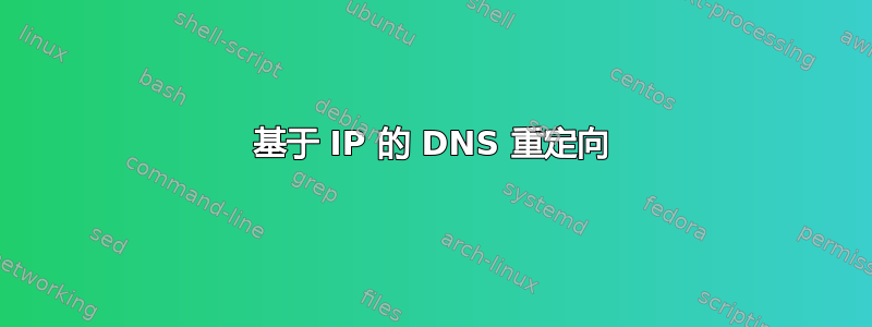 基于 IP 的 DNS 重定向