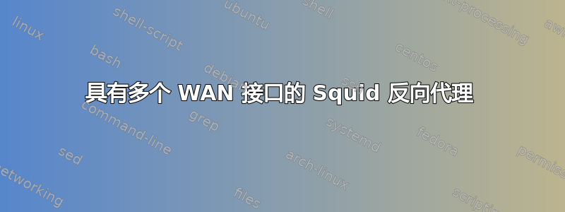 具有多个 WAN 接口的 Squid 反向代理