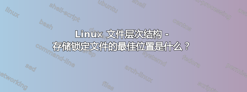 Linux 文件层次结构 - 存储锁定文件的最佳位置是什么？