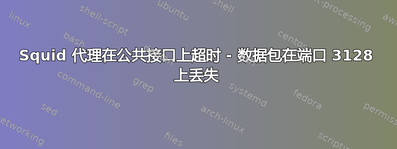 Squid 代理在公共接口上超时 - 数据包在端口 3128 上丢失