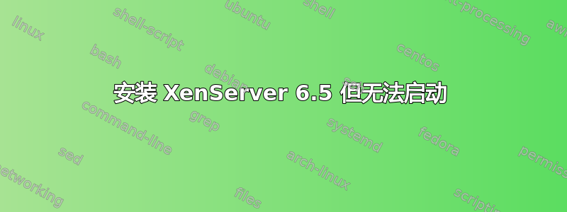 安装 XenServer 6.5 但无法启动