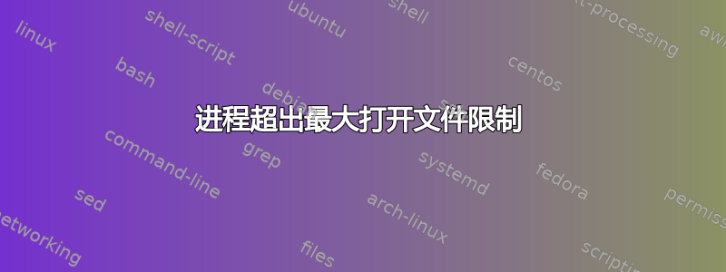 进程超出最大打开文件限制