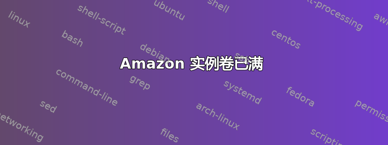 Amazon 实例卷已满