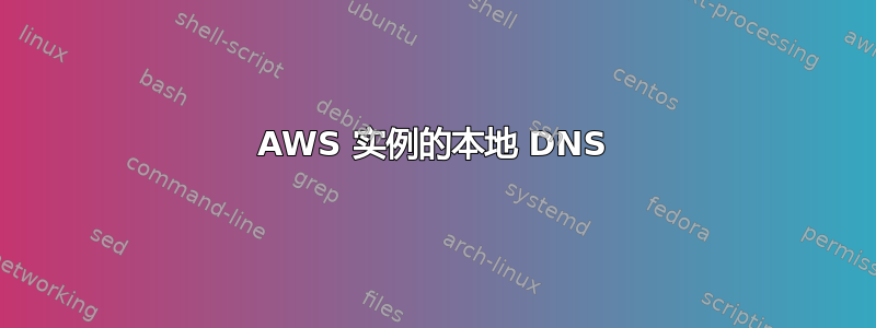 AWS 实例的本地 DNS