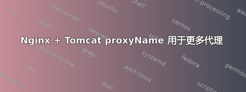 Nginx + Tomcat proxyName 用于更多代理