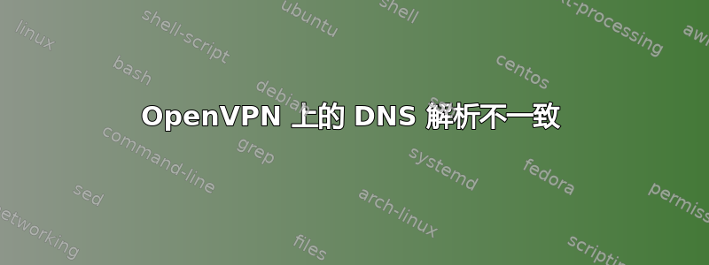 OpenVPN 上的 DNS 解析不一致