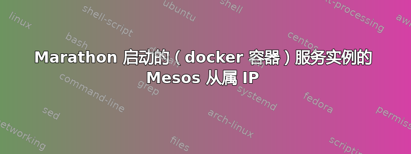 Marathon 启动的（docker 容器）服务实例的 Mesos 从属 IP