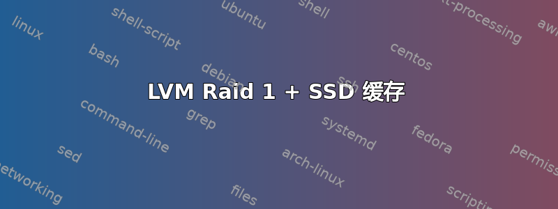 LVM Raid 1 + SSD 缓存