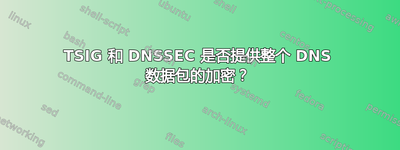 TSIG 和 DNSSEC 是否提供整个 DNS 数据包的加密？