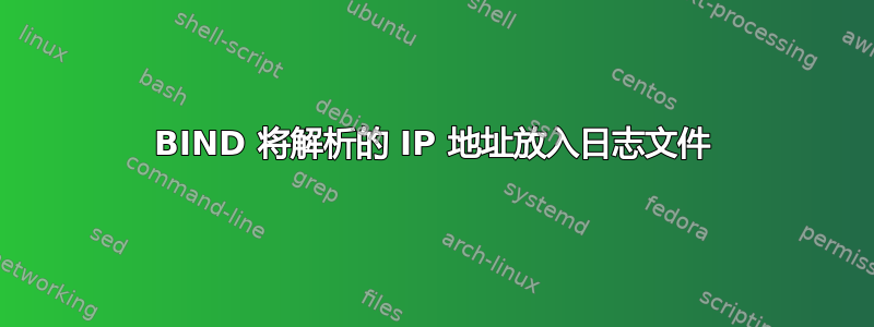 BIND 将解析的 IP 地址放入日志文件