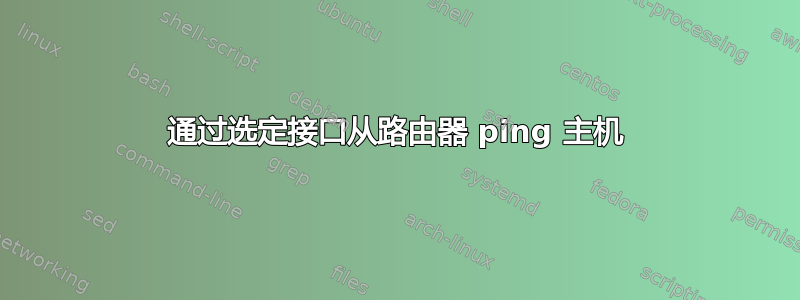 通过选定接口从路由器 ping 主机