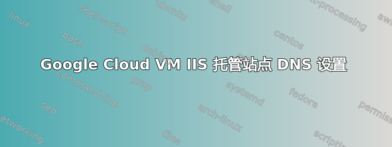 Google Cloud VM IIS 托管站点 DNS 设置