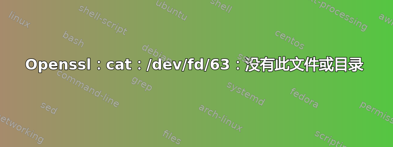 Openssl：cat：/dev/fd/63：没有此文件或目录