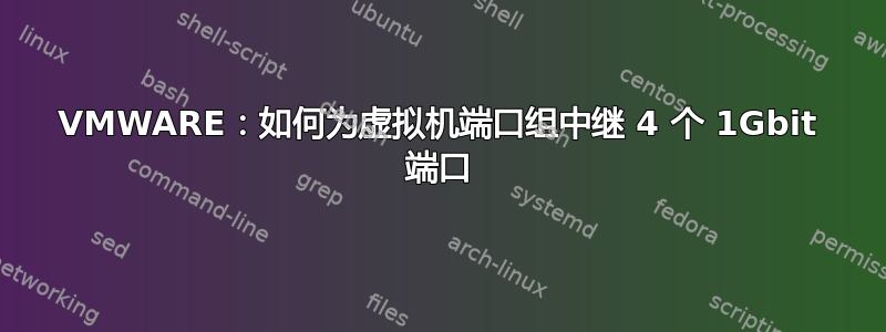 VMWARE：如何为虚拟机端口组中继 4 个 1Gbit 端口