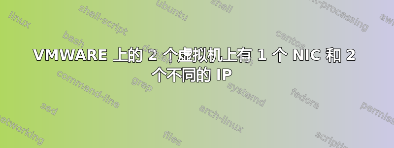 VMWARE 上的 2 个虚拟机上有 1 个 NIC 和 2 个不同的 IP 