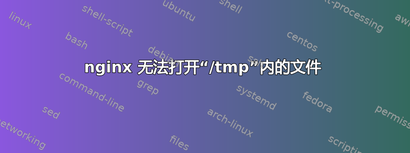 nginx 无法打开“/tmp”内的文件