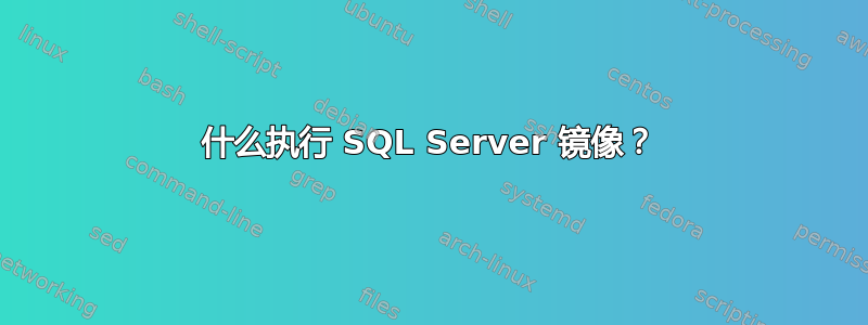 什么执行 SQL Server 镜像？