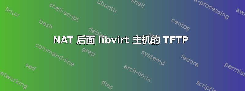 NAT 后面 libvirt 主机的 TFTP