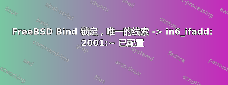 FreeBSD Bind 锁定，唯一的线索 -> in6_ifadd: 2001:~ 已配置