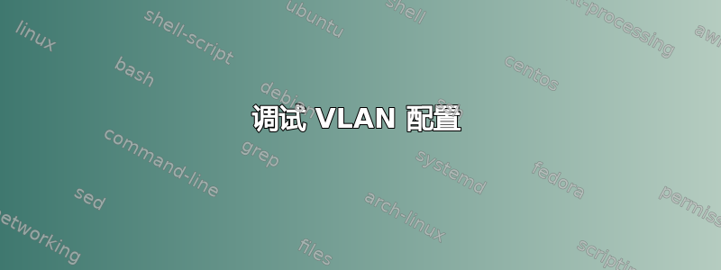 调试 VLAN 配置