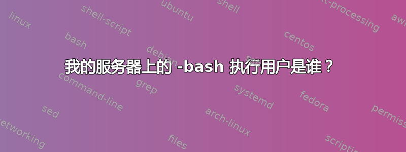 我的服务器上的 -bash 执行用户是谁？