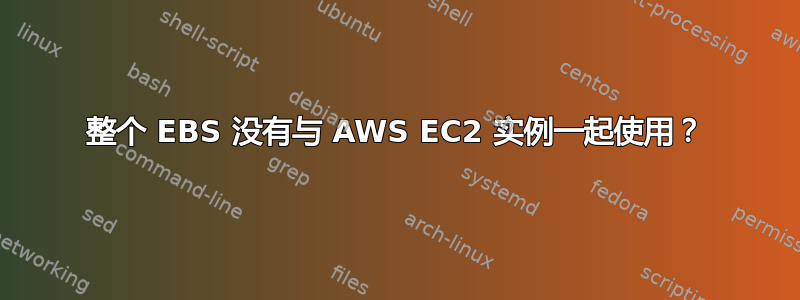 整个 EBS 没有与 AWS EC2 实例一起使用？