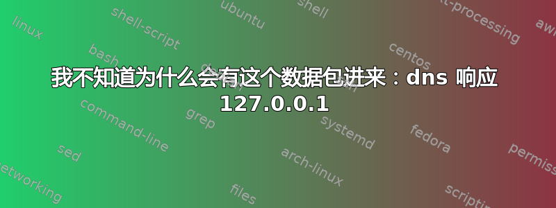 我不知道为什么会有这个数据包进来：dns 响应 127.0.0.1