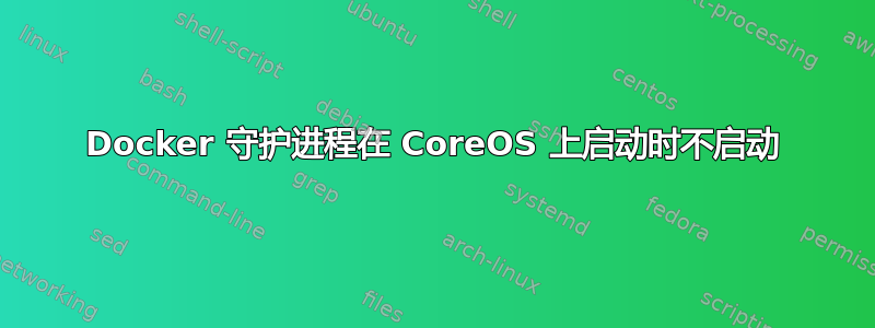 Docker 守护进程在 CoreOS 上启动时不启动