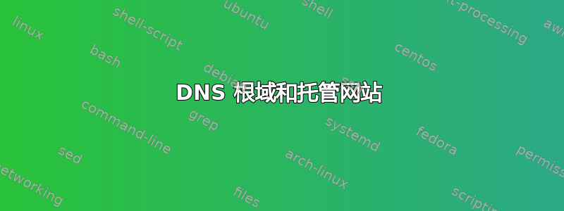 DNS 根域和托管网站