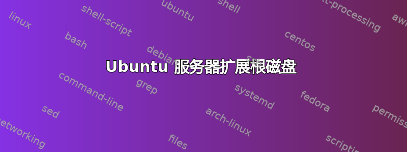 Ubuntu 服务器扩展根磁盘