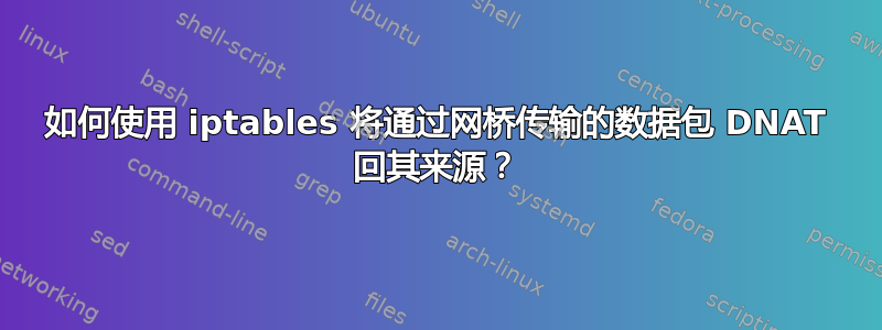 如何使用 iptables 将通过网桥传输的数据包 DNAT 回其来源？