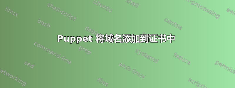 Puppet 将域名添加到证书中