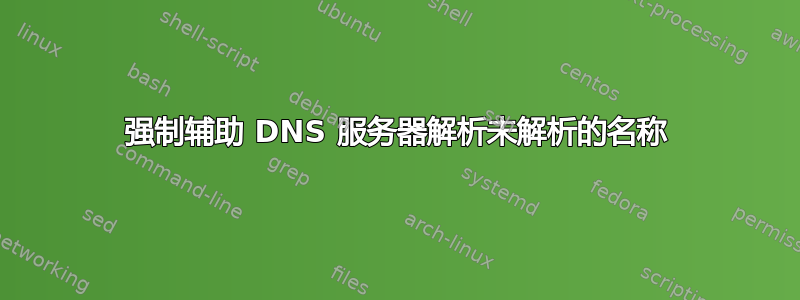 强制辅助 DNS 服务器解析未解析的名称