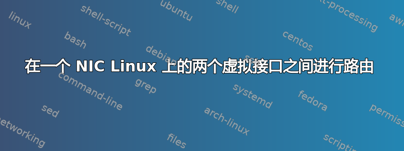 在一个 NIC Linux 上的两个虚拟接口之间进行路由