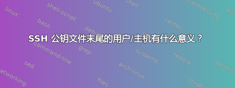 SSH 公钥文件末尾的用户/主机有什么意义？