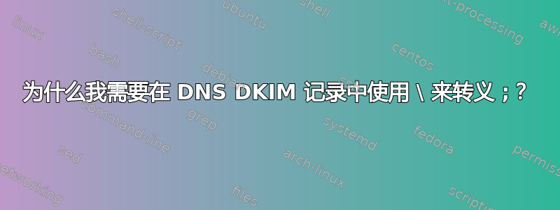 为什么我需要在 DNS DKIM 记录中使用 \ 来转义 ;？