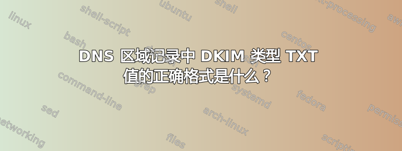 DNS 区域记录中 DKIM 类型 TXT 值的正确格式是什么？