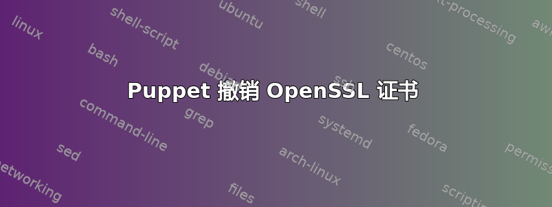 Puppet 撤销 OpenSSL 证书