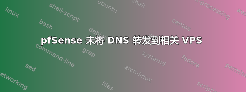 pfSense 未将 DNS 转发到相关 VPS