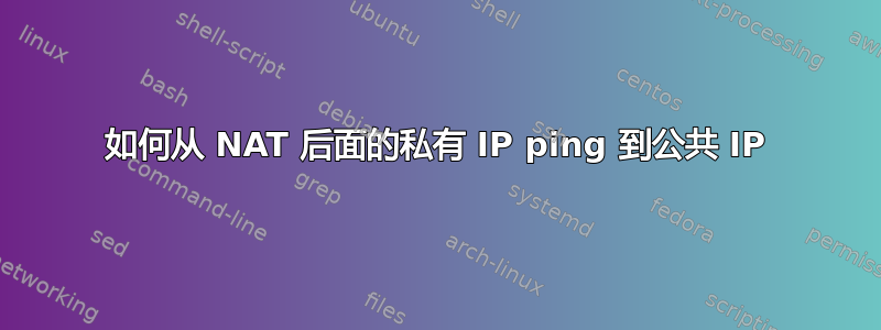 如何从 NAT 后面的私有 IP ping 到公共 IP