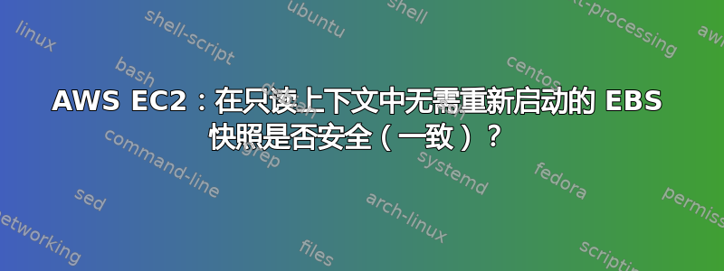 AWS EC2：在只读上下文中无需重新启动的 EBS 快照是否安全（一致）？