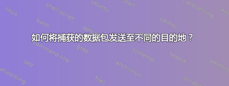 如何将捕获的数据包发送至不同的目的地？