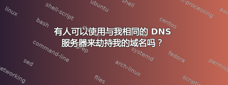 有人可以使用与我相同的 DNS 服务器来劫持我的域名吗？