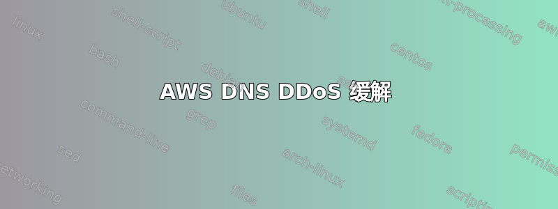 AWS DNS DDoS 缓解