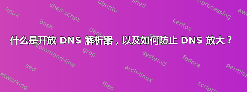 什么是开放 DNS 解析器，以及如何防止 DNS 放大？