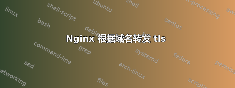 Nginx 根据域名转发 tls