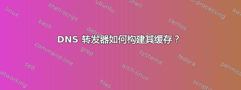 DNS 转发器如何构建其缓存？