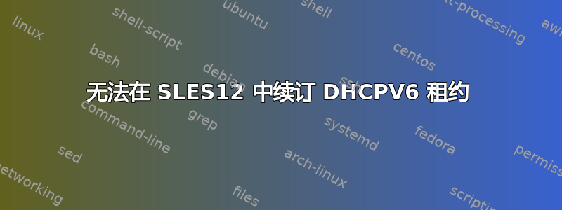 无法在 SLES12 中续订 DHCPV6 租约