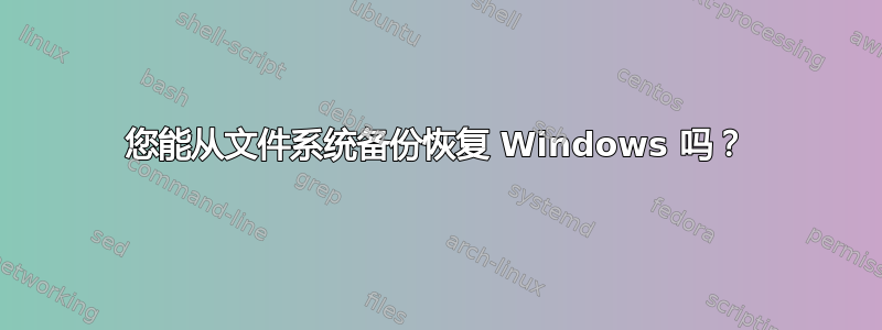 您能从文件系统备份恢复 Windows 吗？